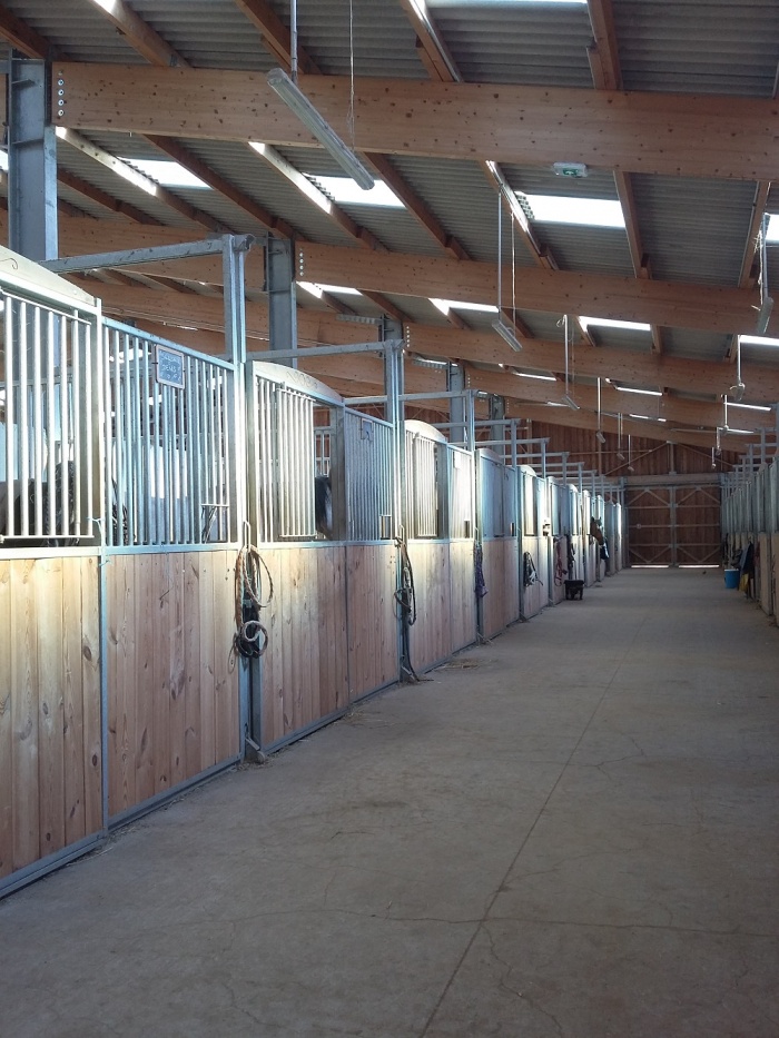 CENTRE EQUESTRE : vue 2